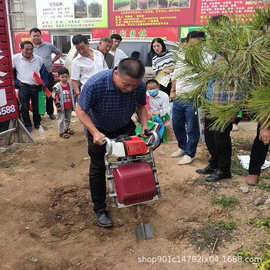 新型多用途苗木移植机林业汽油挖树机图片苗圃带土球断根机移栽机
