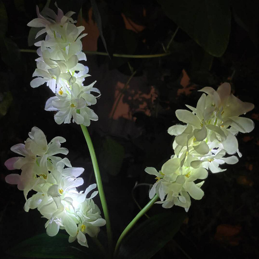 )DKG191T(}HG4]EH3FX2AEJ