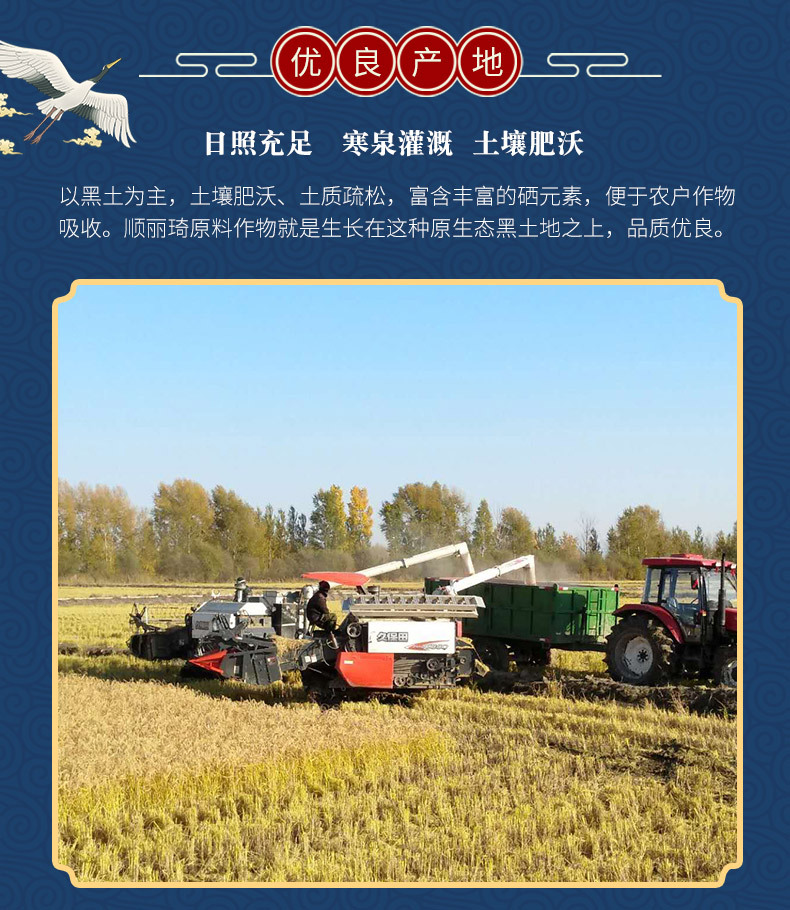 同江市順丽琦油贸有限公司(1)_09