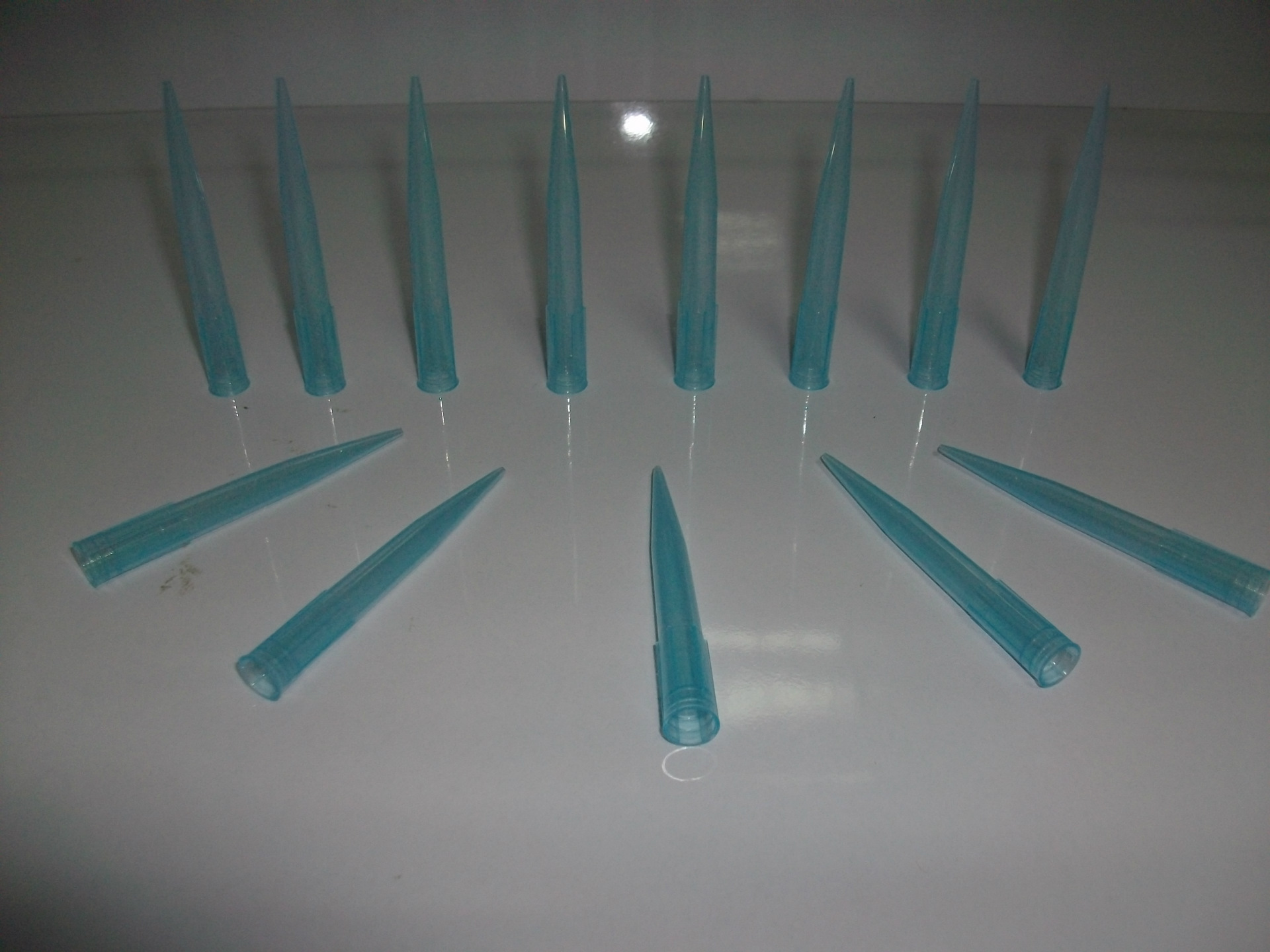 6902988173_382337239