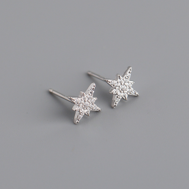 Fashion Star Sterling Silver Inlay Zircon Ear Studs 1 Pair display picture 3