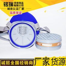 南核NH-219型 过滤式防毒半面罩 呼吸防护口罩 硅胶防毒劳保口罩