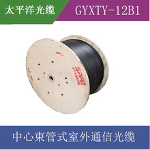 【太平洋光纜】中心束管式非金屬室外光纜 GYXTY-12B1 12芯單模