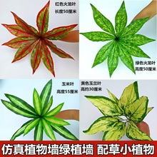 ֲ�������ϼٲ�ƺ�Gֲ���ٻ���˹�~�͏d�����G���҃��b�