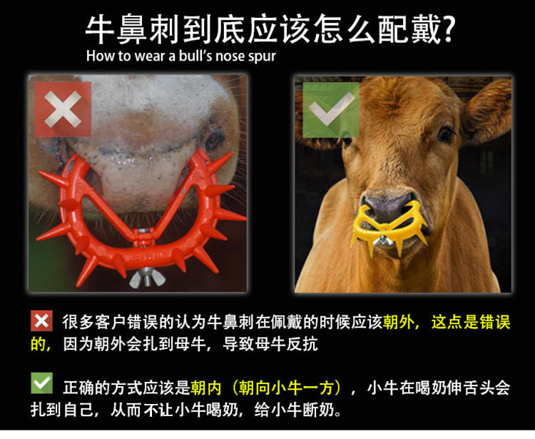 牛鼻刺BB详情页 (1).jpg