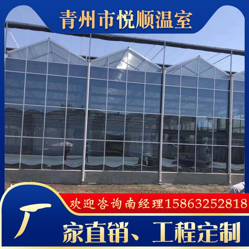 厂家供应温室大棚 多肉植物智能温室 花卉育苗连栋大棚 玻璃温室