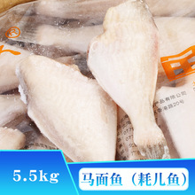 马面鱼（耗儿鱼） 干冰单冻 马面鱼 口感鲜美 醇厚鲜嫩