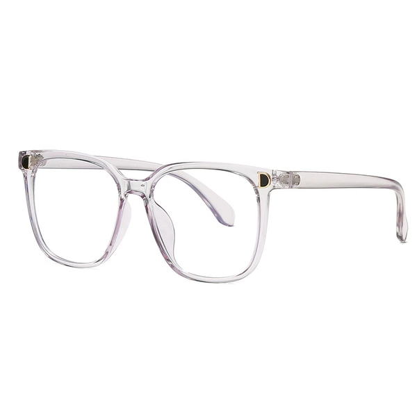 Transparent frame