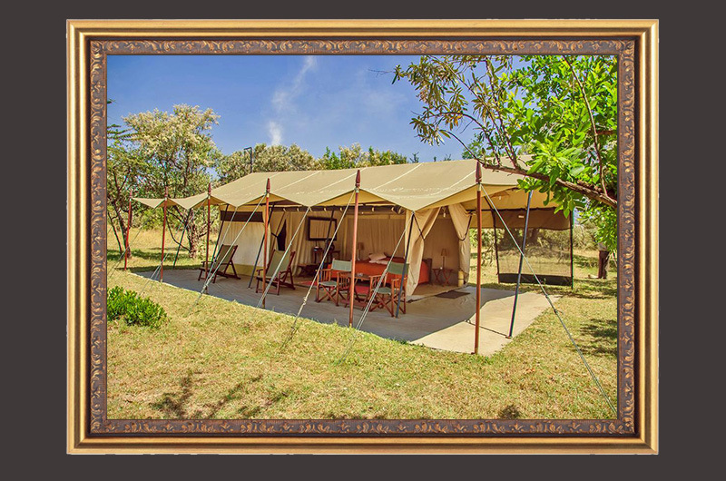 帐篷详细页20200606-2_23