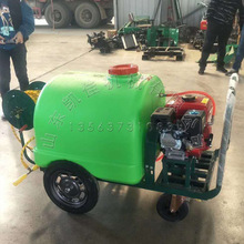 手推式汽油打葯機 四輪行走式果園打葯機 蘋果樹桃樹打葯殺蟲機