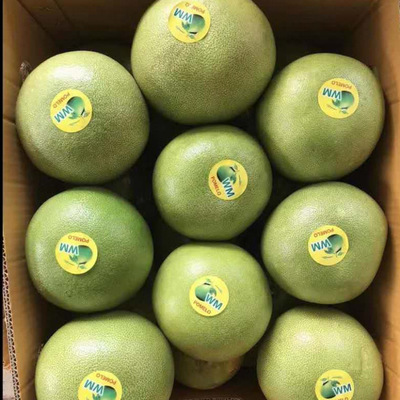 批发泰国青柚 16千克一件 顺牌小象牌翔牌 蜜柚 常年供货热带水果|ru