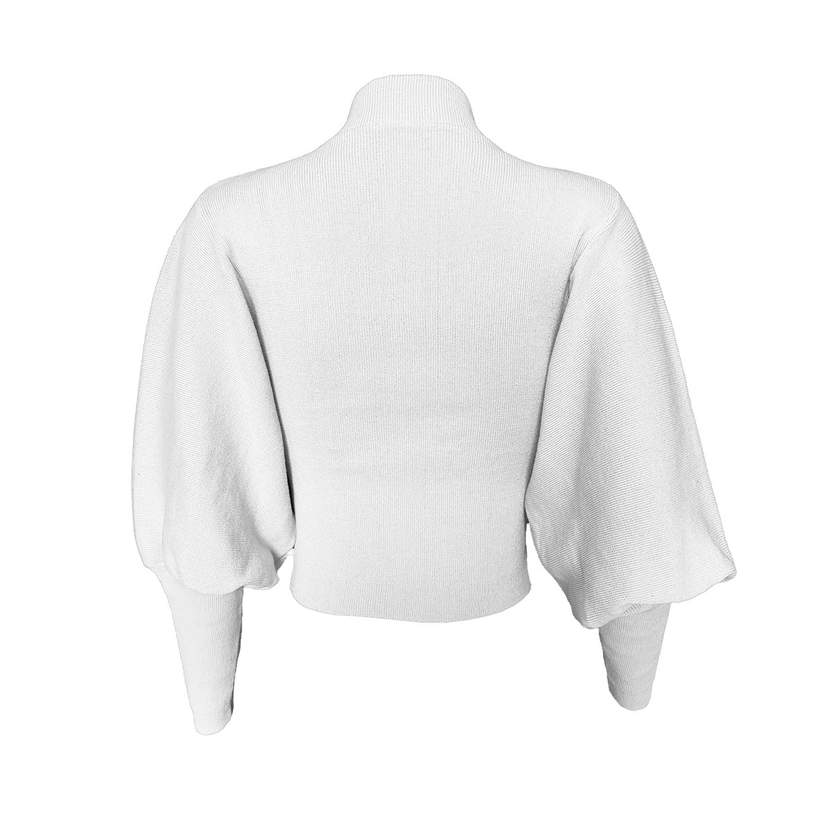 New Autumn And Winter Sweaters Women Hot Net Color Knitting Lantern Sleeve Long Sleeve Pullover High Collar Sweater in Sweaters