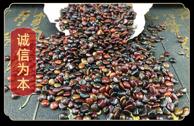 Zhi Ju Zi Dried Hovenia Dulcis Seeds Bulk Herbal Tea Ingredients 500g in use