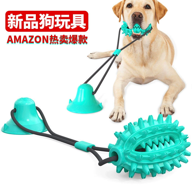 Товары для домашних животных Новые Amazon горячие продажи игрушки для собак на одной присоске кактус мяч Прорезыватель палочка вентиляционное отверстие для собак устойчивый к укусам клей