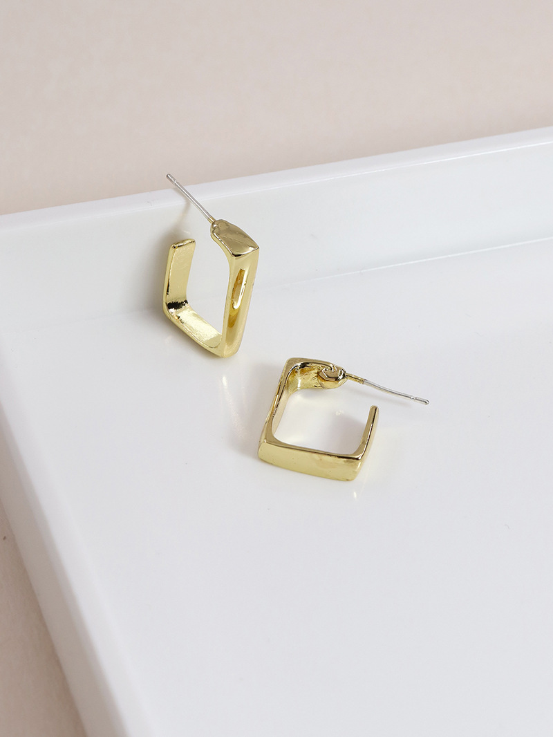 Mode Neue Geometrische Einfache Metall Heiß Verkaufte Legierung Ohrringe display picture 3