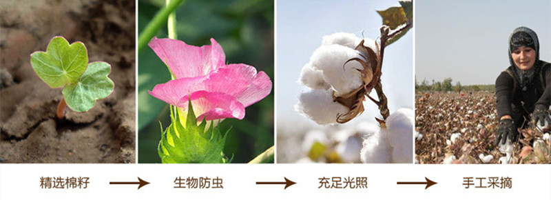 9237419677_1393701928_副本