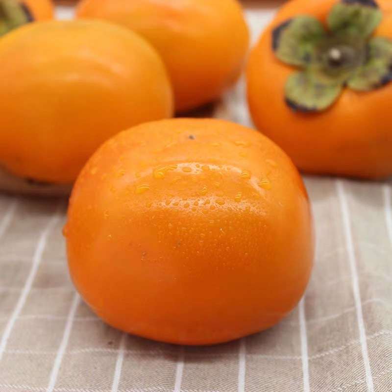 Shaanxi Crisp persimmon Season Season chocolate Persimmon fresh fruit Hard persimmon Now pick Now send