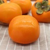 Shaanxi Crisp persimmon Season Season chocolate Persimmon fresh fruit Hard persimmon Now pick Now send