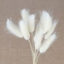 狗尾草通草仿真花