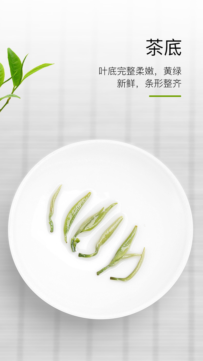 绿茶(清香碧螺春)_05