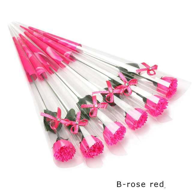 小单只玫瑰和康乃馨IMG_0829(20200301-155