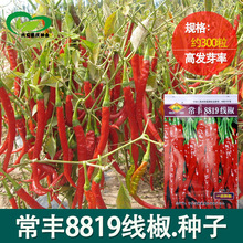 8819�����N�����l �r��ˈ@�����Ը��r�����L���������߲���