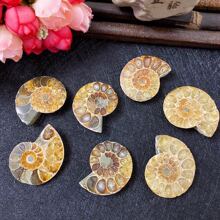 �ջ��ݰ߲��ݻ�ʯ����ԭʯ�[�����l �S�ҹ����ջ��ݔ[��