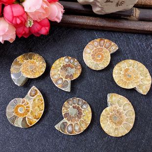 �ջ��ݰ߲��ݻ�ʯ����ԭʯ�[�����l �S�ҹ����ջ��ݔ[��