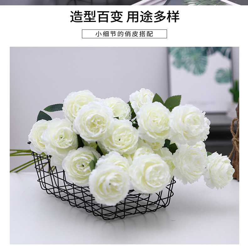 洋牡丹_02.jpg