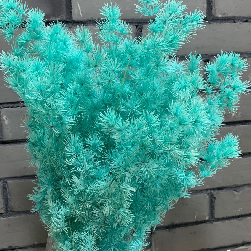 微信图片_20200607105747