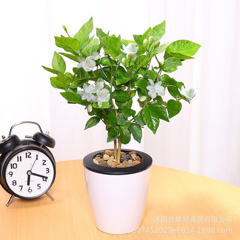 QQ图片20200802184130