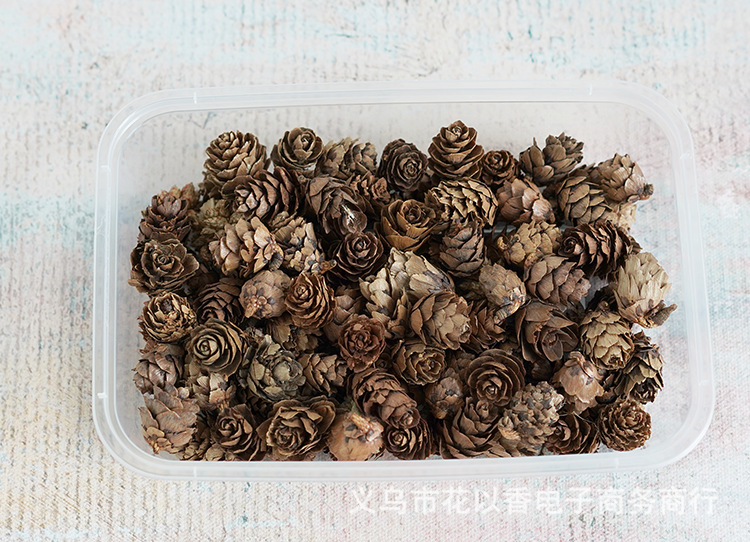 迷你小松果—义乌花以香