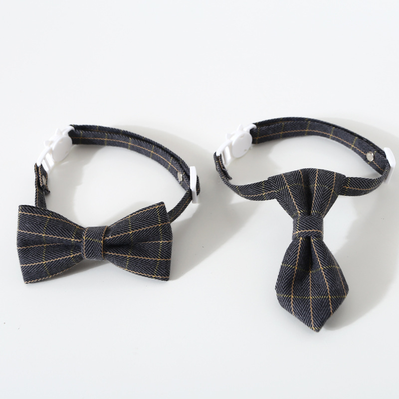 Stylish Bow Tie