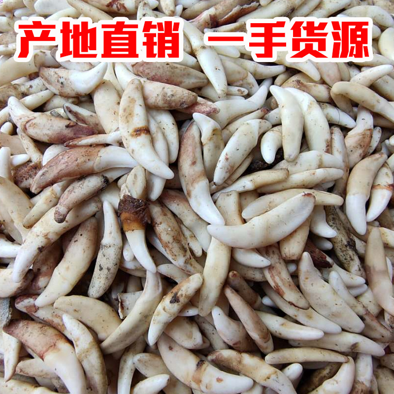 微信图片_20200328233757