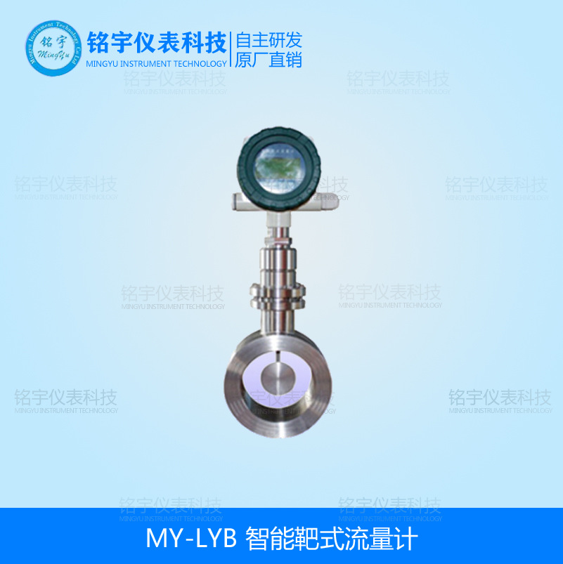MY-LYB智能靶式流量計