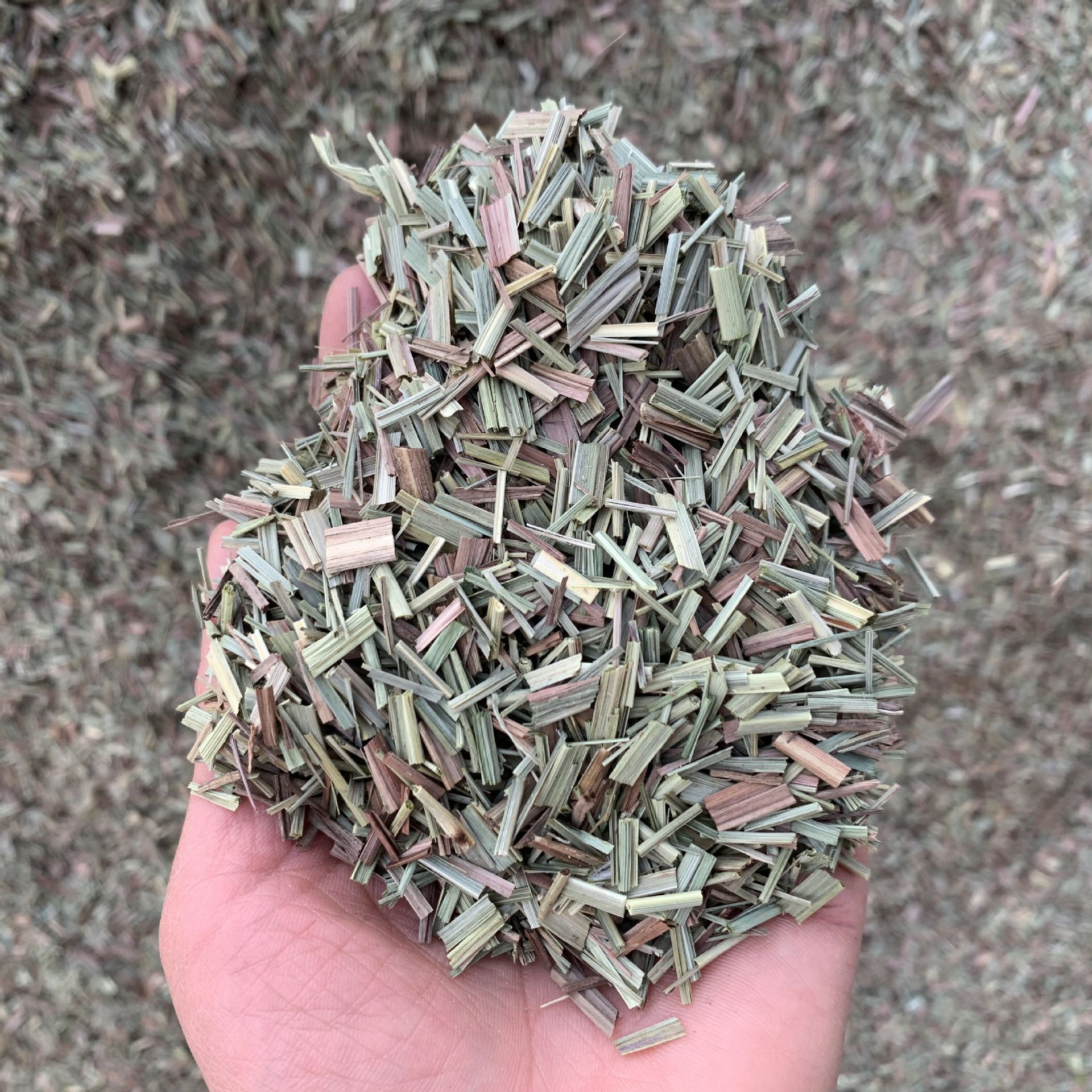 Dried Lemongrass Xiang Mao Cao Natural Sun-Dried Herb for Tea and Culinary Use 500g specifications