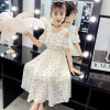 Summer shiffon summer clothing, long skirt, fashionable beach dress, western style, suitable for teen