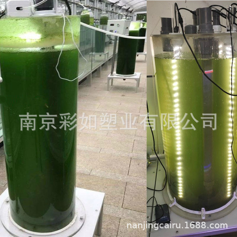 透明有机玻璃藻培桶 亚克力小球藻卵囊藻培植器筒 配灯源曝气装置