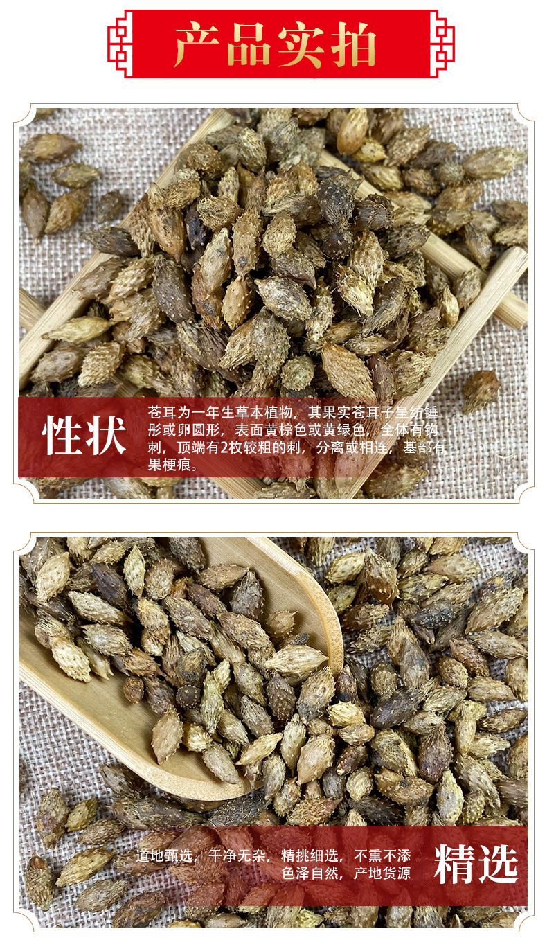 Cang Er Zi Dried Xanthium Fruit 500g Thornless Whole Herb for Decoction and Culinary Use quality and texture