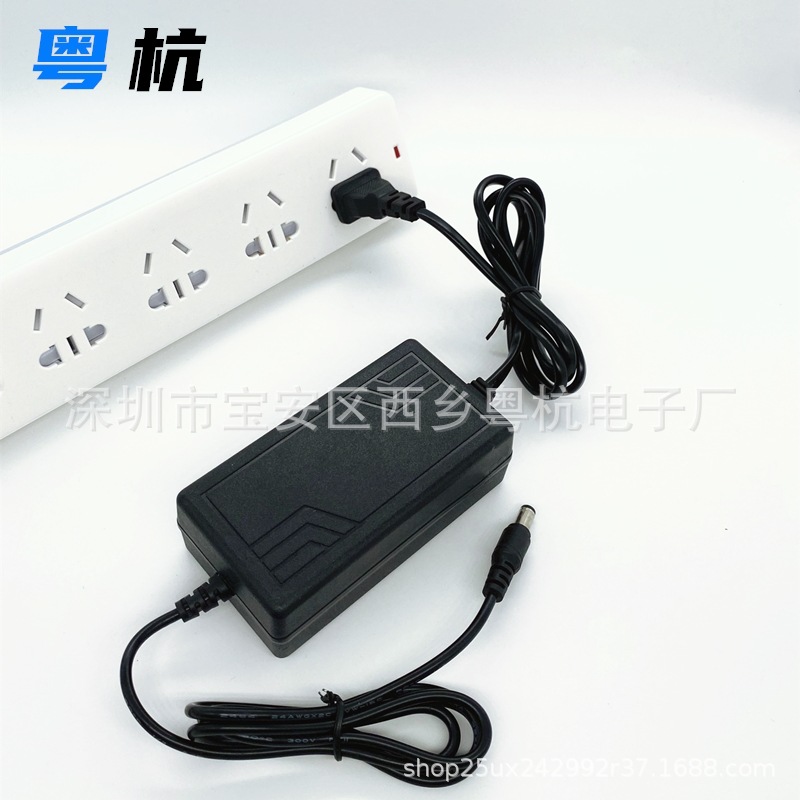 特茂佳监控摄像机电源12V2A双线开关双出线12v2a带滤波插头变压器