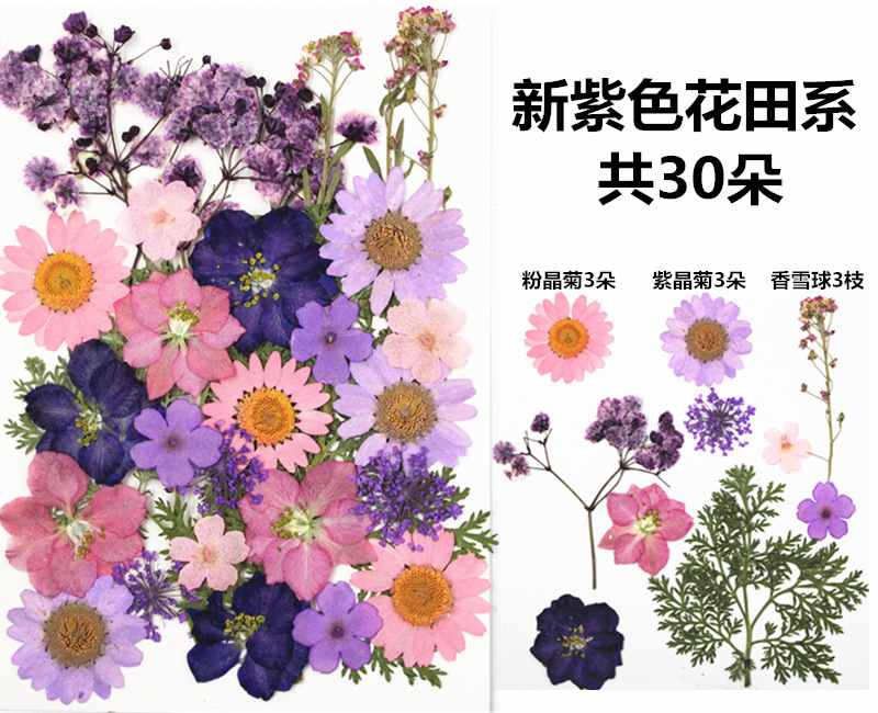 IMG_3579_副本_副本