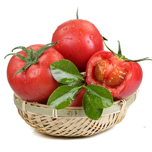 【全年款】山东沙瓤西红柿 普罗旺斯新鲜生吃蔬菜自然熟番茄代发