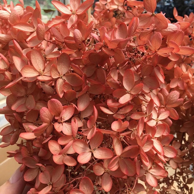 微信图片_20201025133638