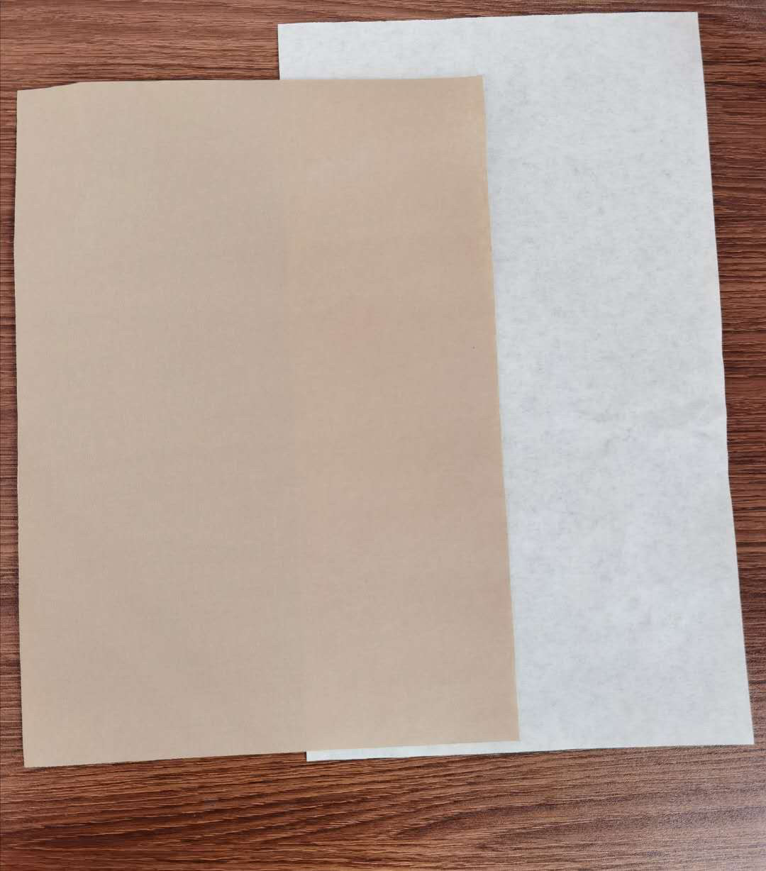 新建文件夹 (2)IMG_4969