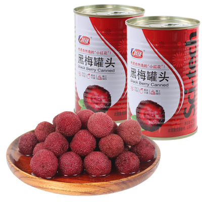 12罐 科技牌罐头杨梅罐头425克 糖水黑梅 无防腐剂 江浙沪包邮|ms