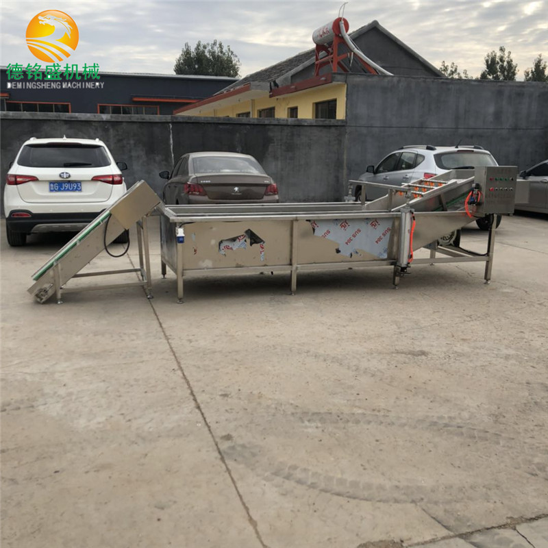 用青菜气泡清洗杀青生产线 豆角气泡清洗机 娃娃菜清洗机