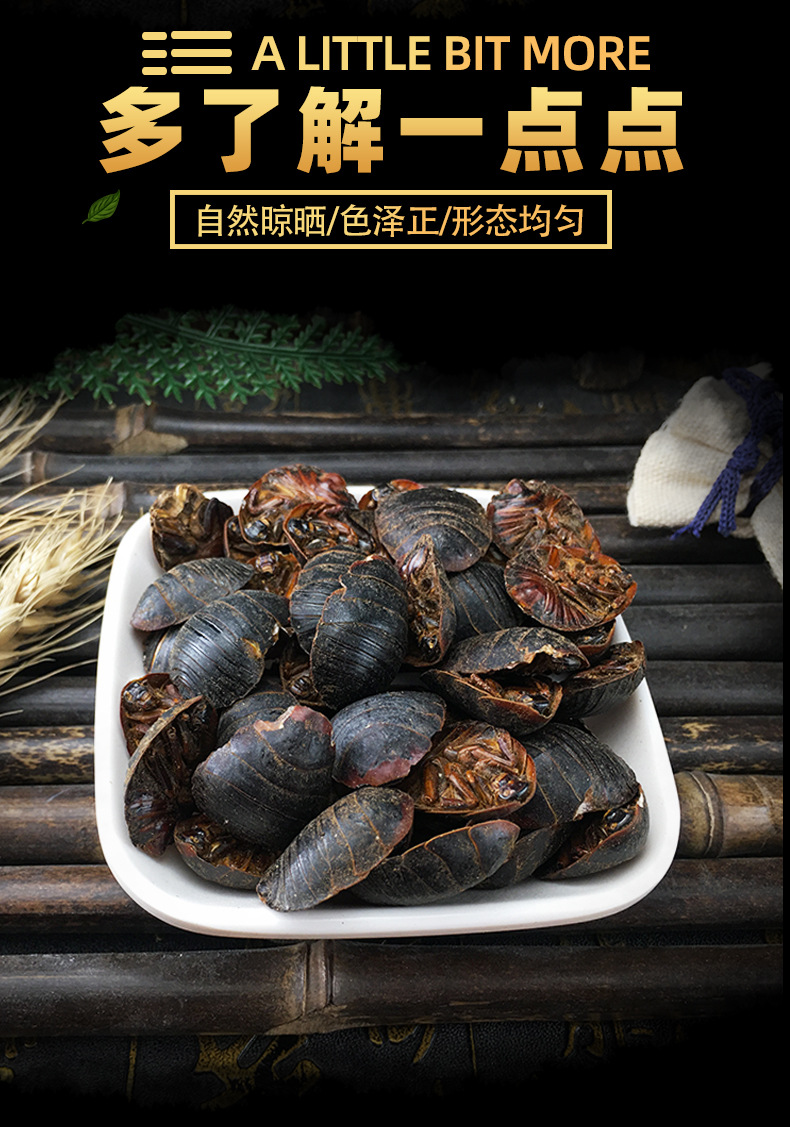 Dried Ground Beetle Tu Bie Chong Whole Insect Traditional Chinese Herb Bulk Dried Decoction Ingredient key features