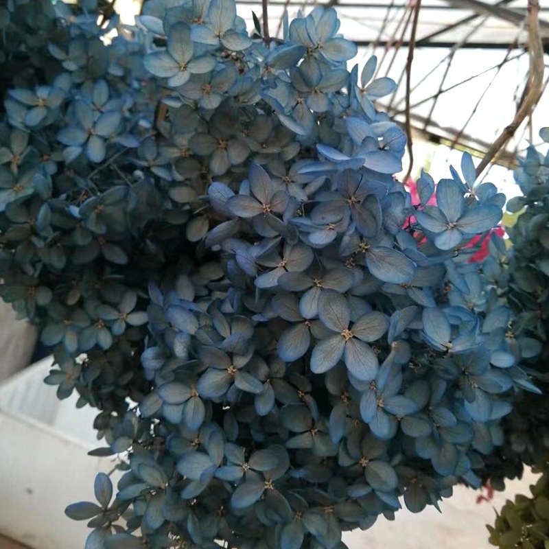 微信图片_20201025133642