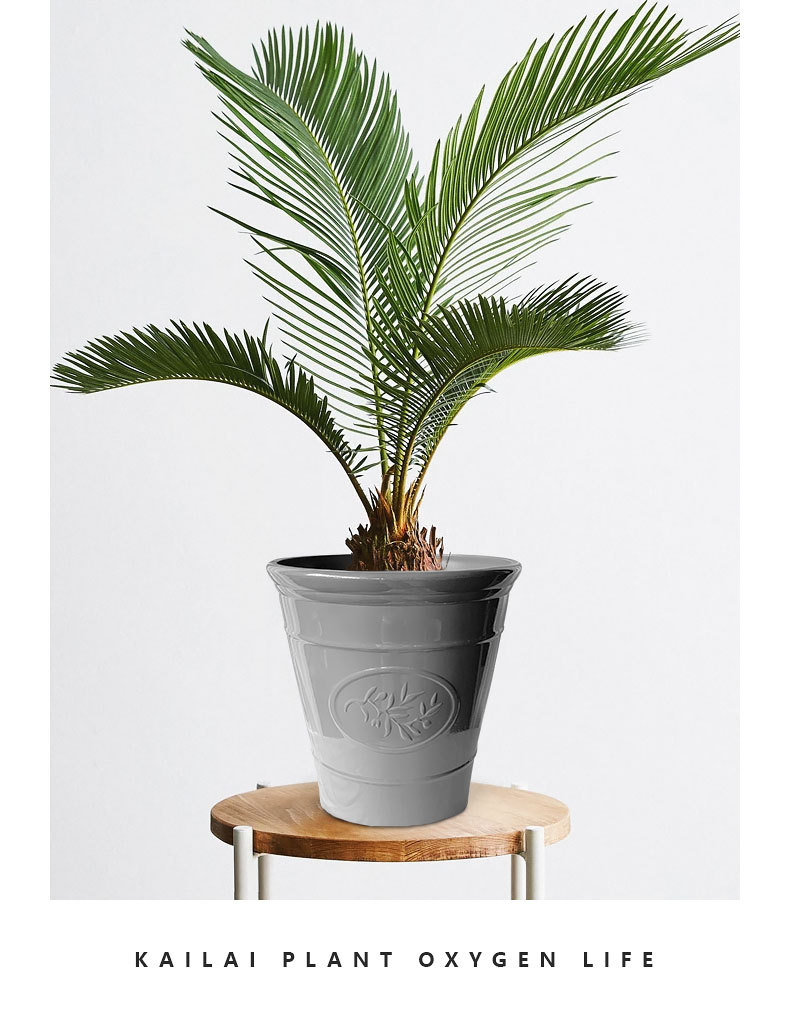 2020_06_27_KL180502_详情页_中文_790