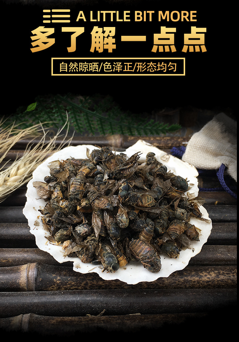 Dried Gadfly Niu Meng Chong Whole Insect Traditional Chinese Herb Bulk 500g key features